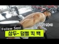 덤벨 킥 백 - 삼두 운동#4