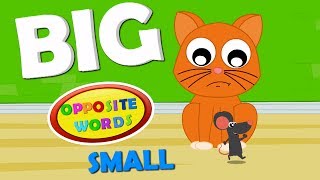 canção oposto | As crianças aprendem opostos | canção pré-escolar | Opposites Song | Kids Songs