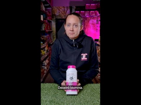 Deoströ Blomma 750g - Video