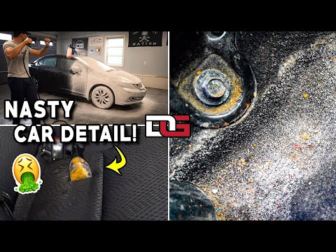 How to Detail a Honda Civic! | The Detail Geek