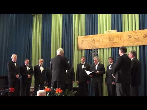 Slovenec sem, MoPZ Štinglc, 2015