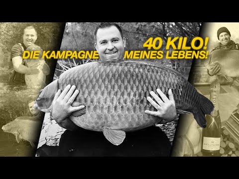 Big Fish Stories🐋 - 40KG Karpfen😵 - Die Kampagne meines Lebens - mit Marco Bettin