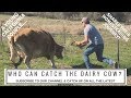 Episode 4 Where Does Milk Come From Farmer Milking A Cow By Hand The Story Of Milk
