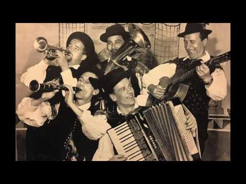 Ansambel bratov Avsenik - Po brakadi med lovci