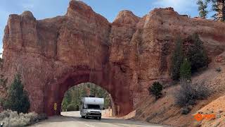 Ford autocaravana semiintegrada | Imagen 4 - Autoline