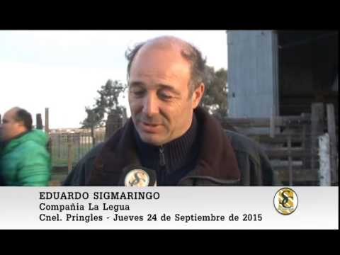24-09-15 Nota Eduardo Sigmaringo - Compañia La Legua - Coronel Pringles.