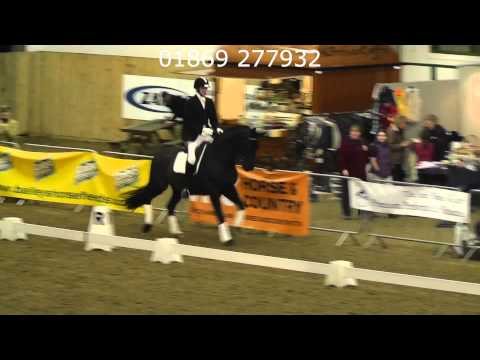 Don Dante at BBSH Stallion Show, Hartpury, 5 Jan 2013
