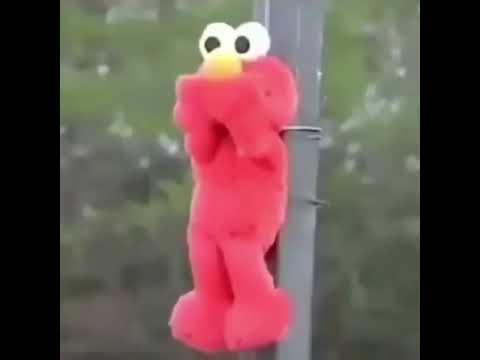 Elmo Death