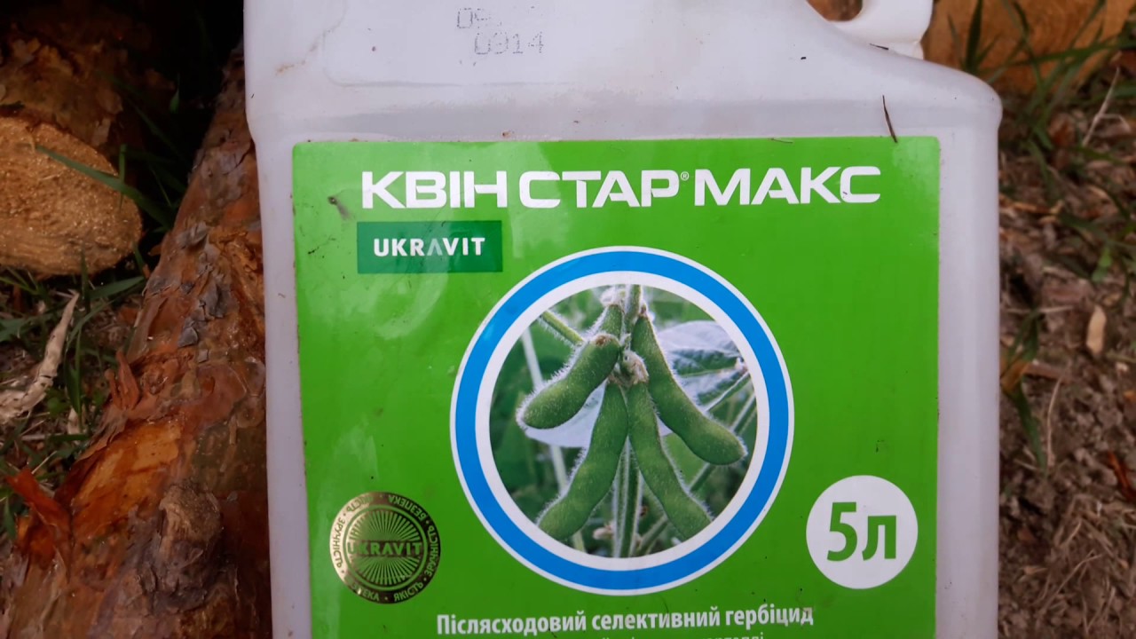 Гербицид Квин Стар Макс – селективный послелестничный грамминицид против злаковых сорняков.