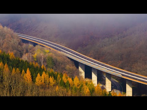 CESTA V KORUNÁCH STROMOV