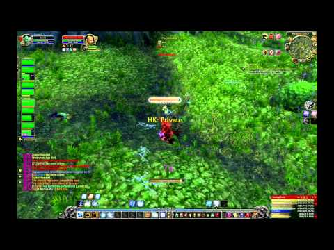 TheNewWoWGen - elemental shaman pvp