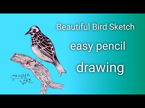 “Baya Chidiya Drawing | Realistic Bird Sketch Step by Step | Pencil Art for Beginners”