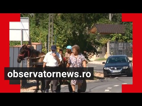 Prima zi de libertate după carantină în Gornet