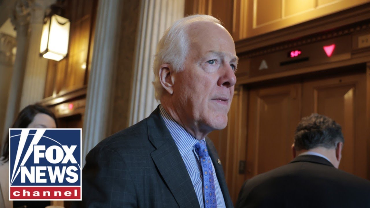 Republican senator lays out 'the simplest solution' as SNAP set to expire