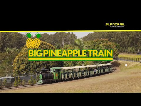 Big Pineapple Train (2019)
