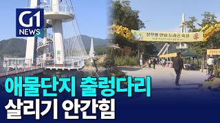 [G1뉴스]애물단지 출렁다리..주민이 활성화 모색