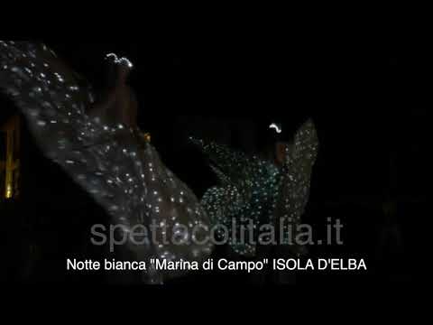 Farfalle luminose per feste ed eventi