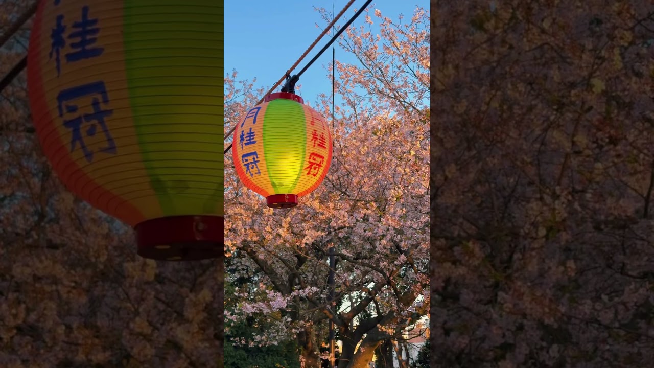 YouTube Short thumbnail