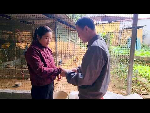 Phong was deeply moved when his mother told him that Hong had helped her.