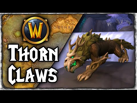 New Cat Tame Thorn Claw Guide  - Patch 10.2 | World of Warcraft