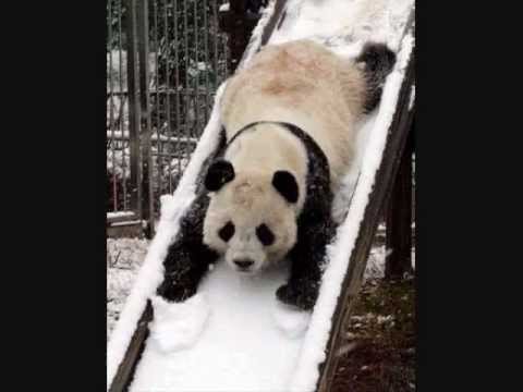 Happy Birthday Lizette!!!!