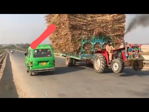 Massey Ferguson 240 Small but Thug Tractor Carry Heaviest Sugarcane load Trolley