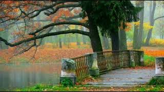 Let Me Tell You Babe - NAT ' KING' COLE(w/lyrics)