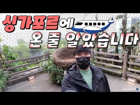 기대 이상으로 좋은 식물원, 정글돔!!