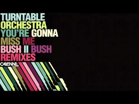 Turntable Orchestra - You're gonna miss me (Bush 2 Bush Simple Bass Mix)