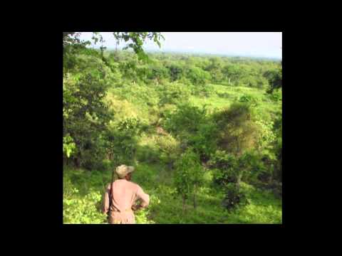 B.T. Simon (Don't Try)