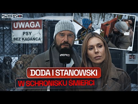 DZIENNIKARSKIE ZERO: DODA, KOSZMAR PSÓW W SOBOLEWIE I UKŁAD LOKALNY