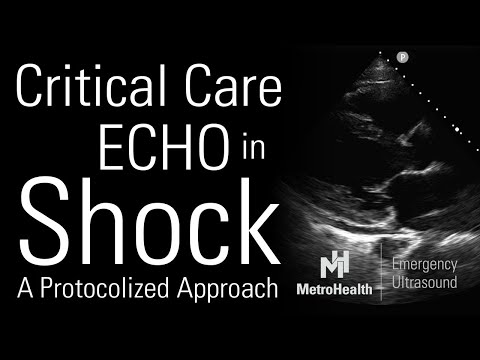 Critical Care Echocardiography in Shock
