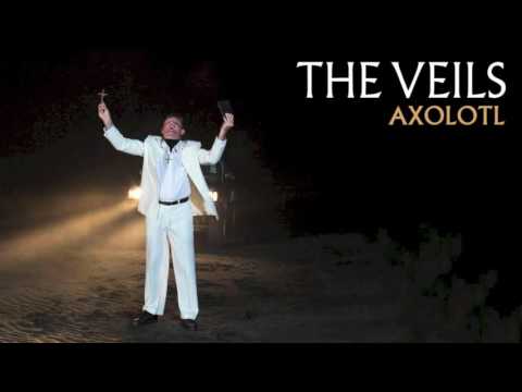 The Veils - Axolotl (Audio)