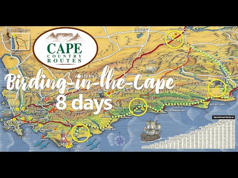 Cape Country Routes - Birding-in-the-Cape, 8-day Tour Package