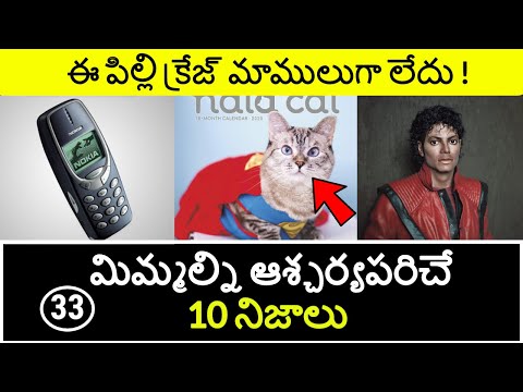 Top 10 Unknown Facts in Telugu | Interesting and Amazing Facts | Part 33 | Minute Stuff