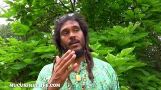 Transition Diet Lesson 16 Part #4 | Special Mucus-Eliminator Recipes