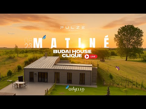 Budai House Clique Live @ Pulze Matiné 08/23 Othello Borház