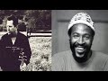 Marvin Gaye "Lets Get It On" and Shadow Lines by Darshan Ambient (Song Mashup)