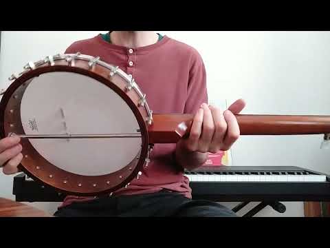 Saga 5-String Banjo Openback +VIDEO image 13