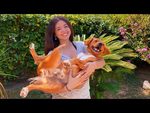 ABBIAMO SALVATO UN CUCCIOLO DALLA STRADA! 🐶❤️