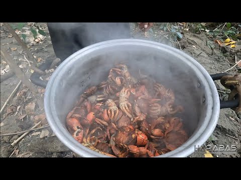 EP836-P2 - Masayang Pandudukot ng Dakomo | Occ. Mindoro