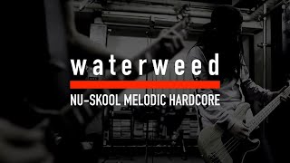 waterweed - Bitterness (Studio Session)