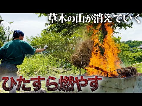 庭のゴミは燃やして処分する サービス