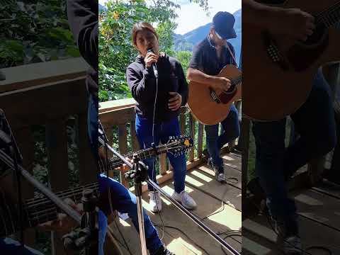 Tu perro guardián los del porte único