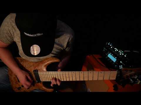 The Auditive - Phonetic Frost (Guitar Playthrough)