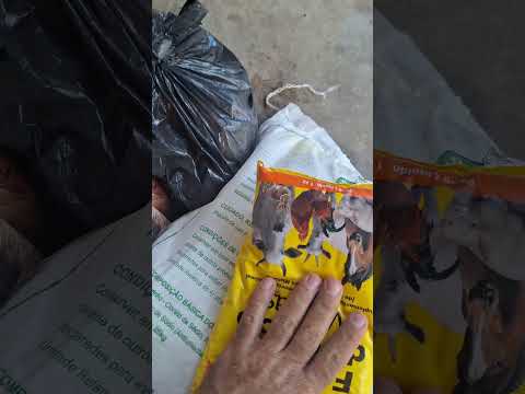 Tudo isso eu comprei na junco gás e rações em junco do seridó pb