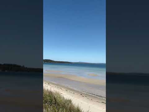 Dunalley Bay Distillery - Eat & Drink