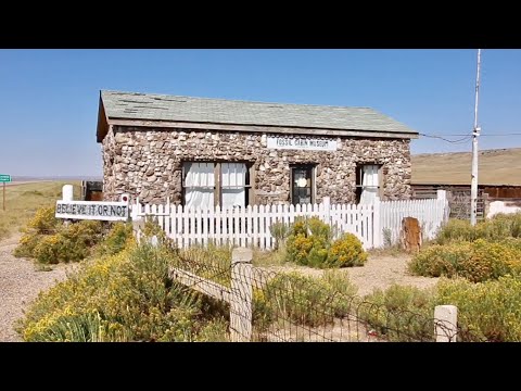 TDW 1875 - World's Oldest Cabin Made From Dinosaur Bones