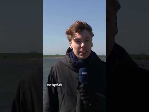 Video Thumbnail: 🐋🌊 Buckelwal #timmy kämpft weiter in der Ostsee #ndrinfo #news#hope #ostsee #walrettung