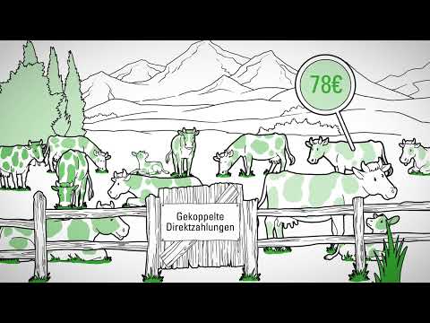 GAP ab 2023 ‒ Direktzahlungen